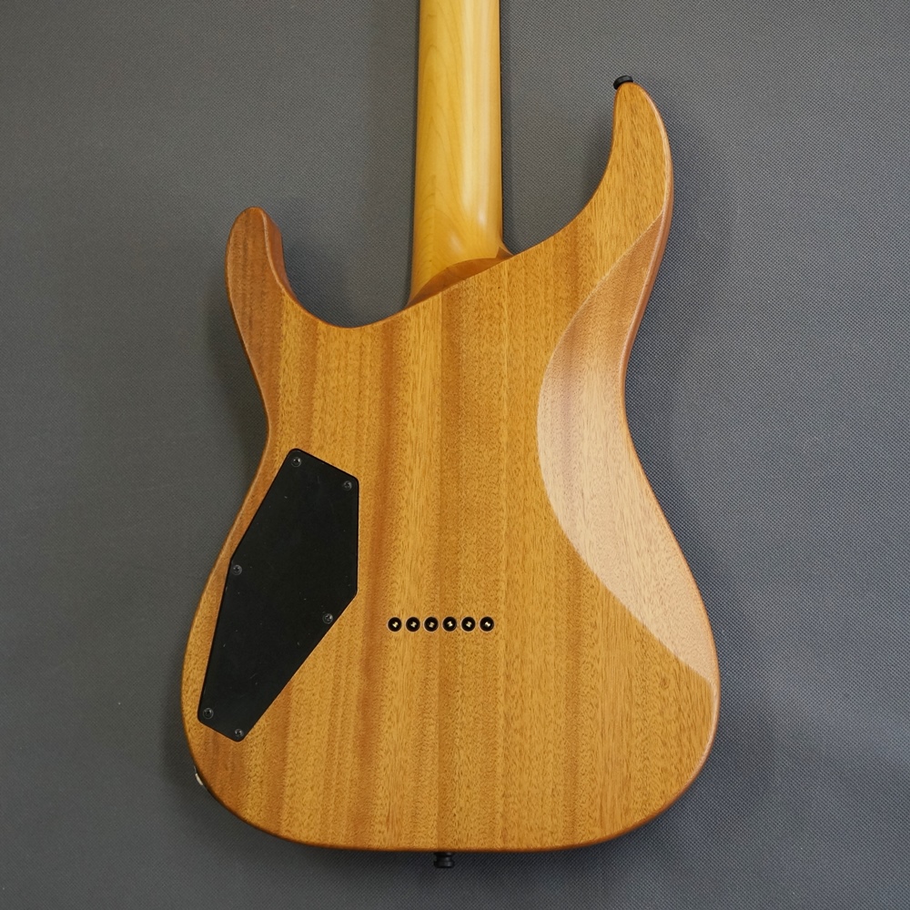 EDWARDS E-HR6-FX/BM - Ash Black - / 楽器屋BOW オンラインストア